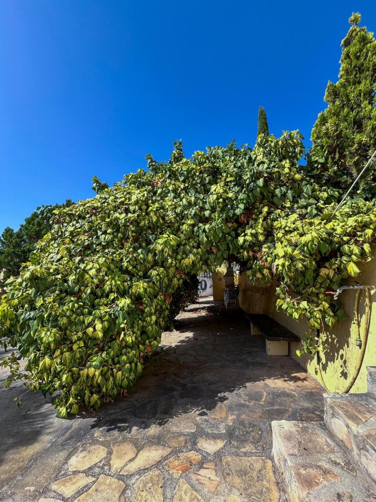 Casa Mar Benissa Calpe Daire Dış mekan fotoğraf