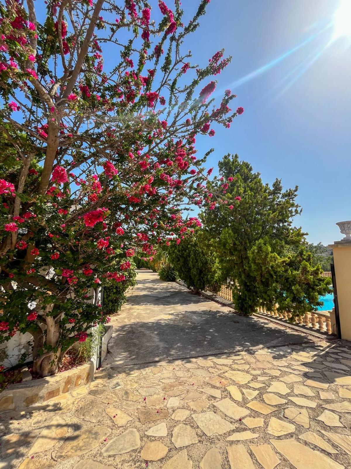 Casa Mar Benissa Calpe Daire Dış mekan fotoğraf